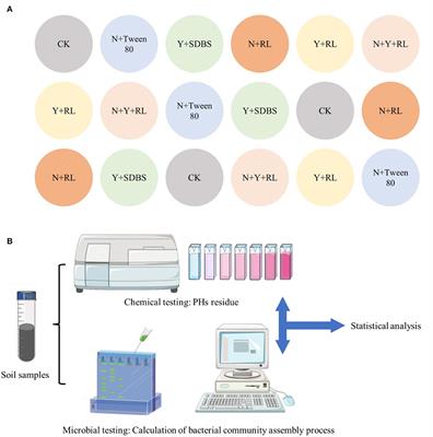 Effect of the bacterial community assembly process on the microbial remediation of petroleum hydrocarbon-contaminated soil